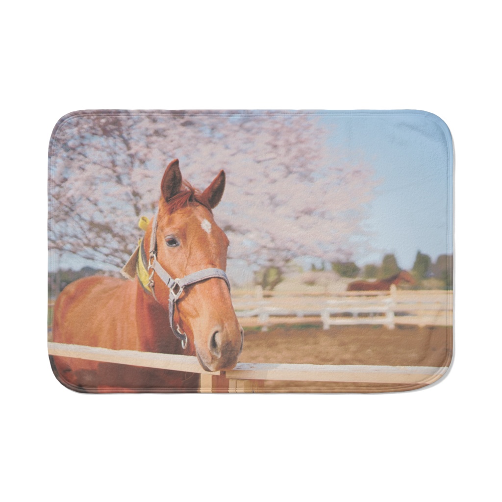 3歳馬ちゃんブランケット