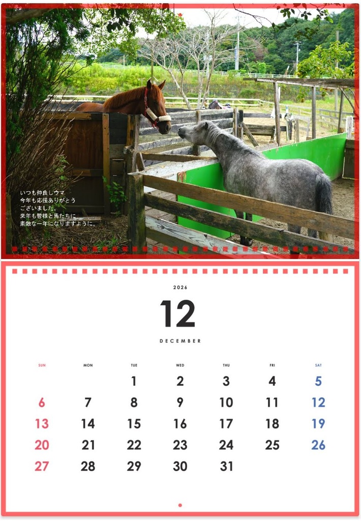 2026年馬たちのA3壁掛けカレンダー　1か月1枚12枚