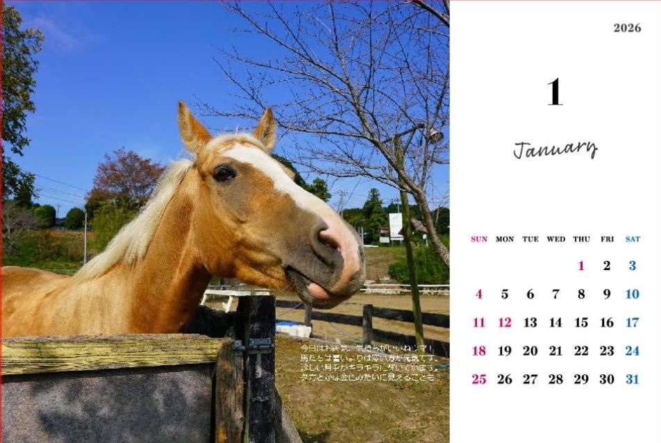 2026年馬たちの卓上ポストカードサイズカレンダー　1か月1枚12枚