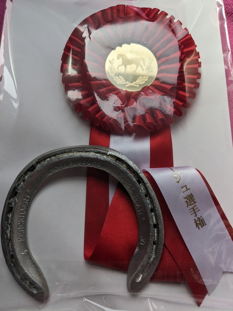 蹄鉄と入賞リボンのセット【モアザンソニックくん応援グッズ】