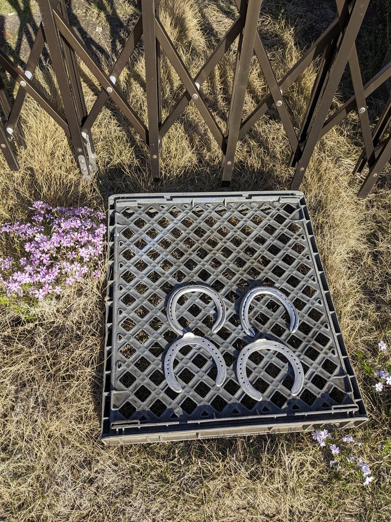 蹄鉄と入賞リボンのセット【モアザンソニックくん応援グッズ】