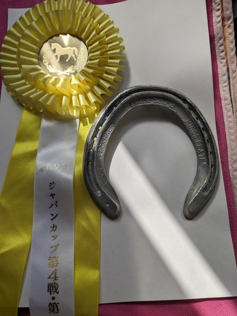 蹄鉄と入賞リボンのセット【モアザンソニックくん応援グッズ】