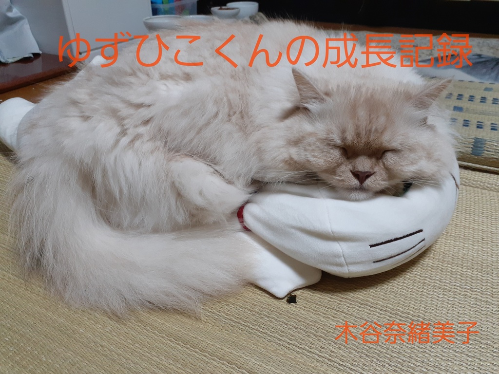 ゆずひこくんの成長記録　