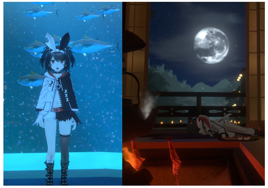 ◆MMD & VRchat用モデルデータ 月姫( KAGUYA )地雷系月兎パーカー