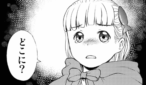 かわいい3D 頭巾(ずきん)