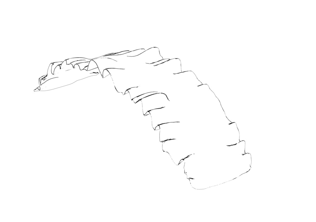 3D ヘッドドレス 「.obj」