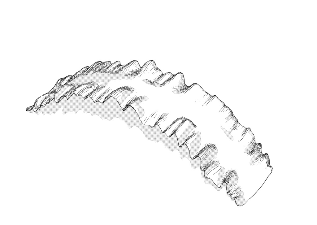 3D ヘッドドレス 「.obj」