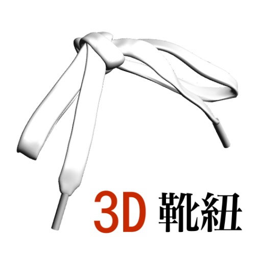 ３D 靴紐