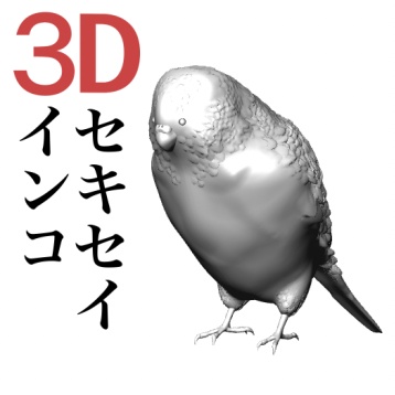 ３Dセキセイインコ 基本ポーズ　 [.obj][.clip]