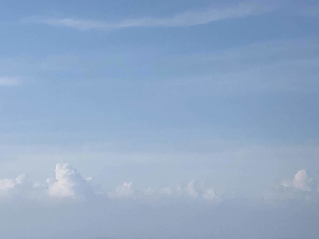 ぬこちゃんの旅立ち