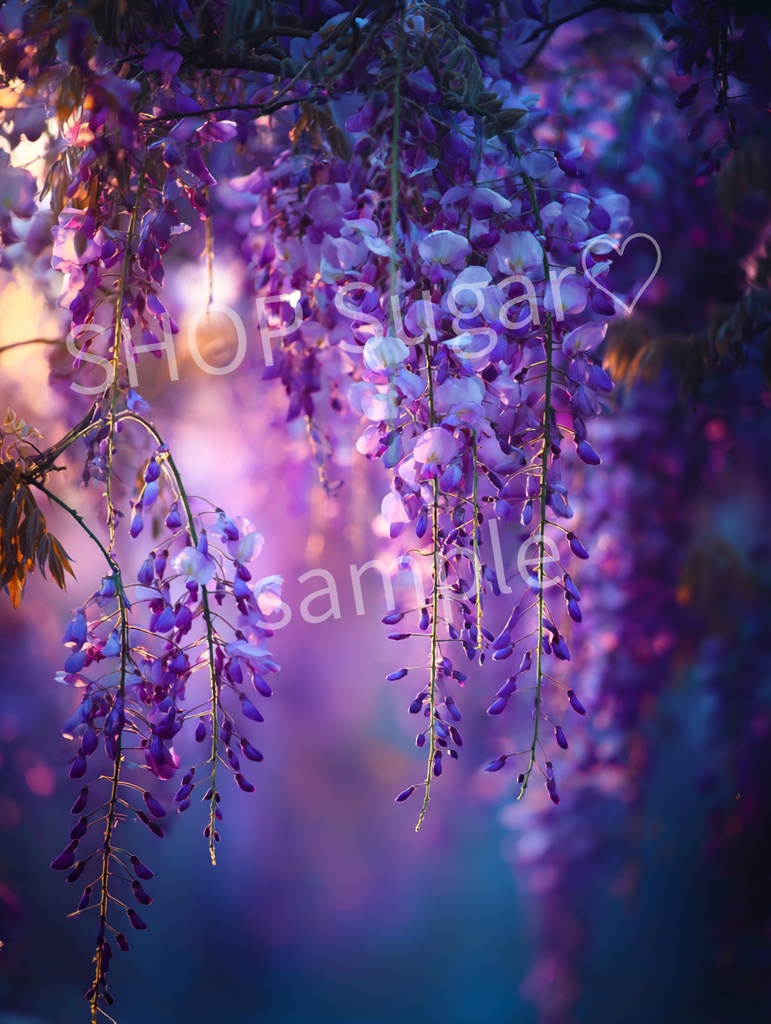 藤のあわい ― 光と静けさの4景 ―