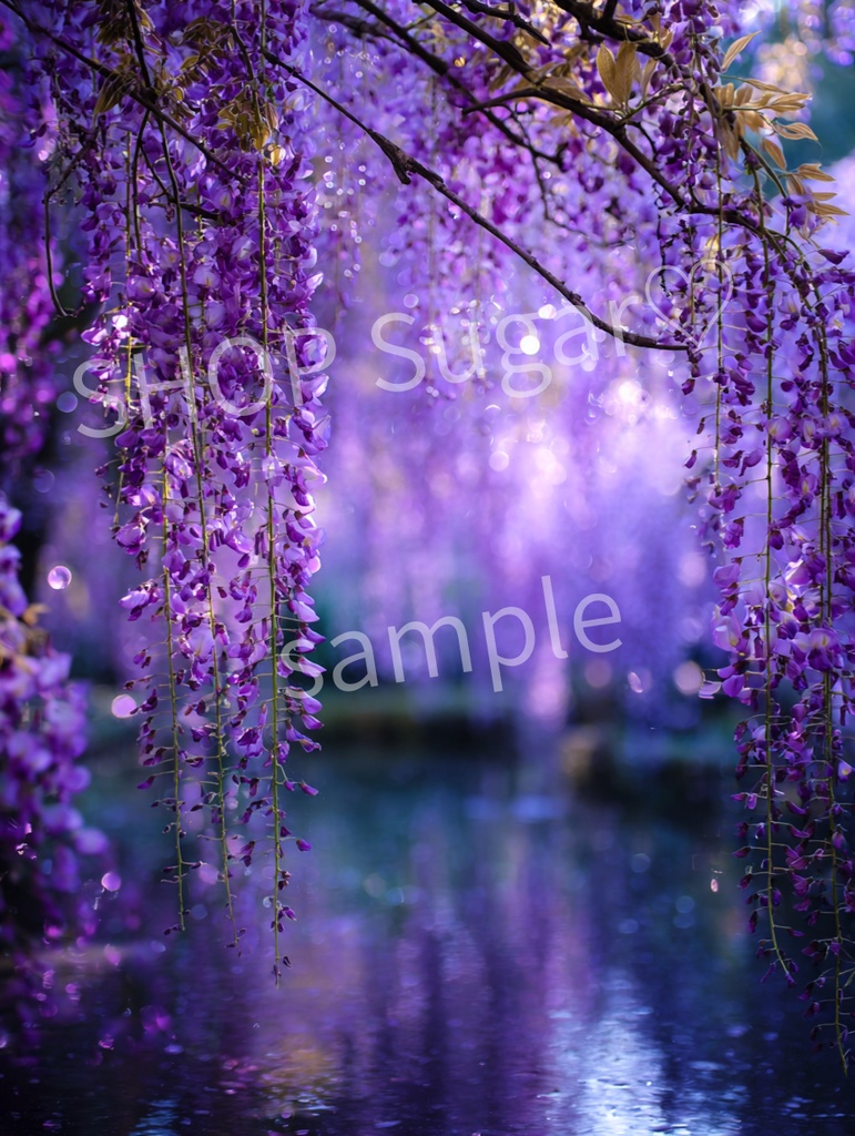 藤のあわい ― 光と静けさの4景 ―