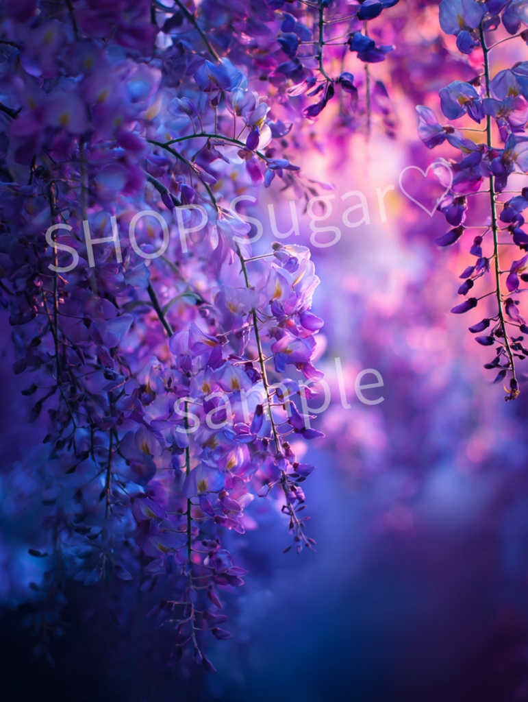 藤のあわい ― 光と静けさの4景 ―