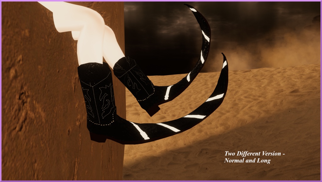 Boot's / ブート / Botas Vaquero