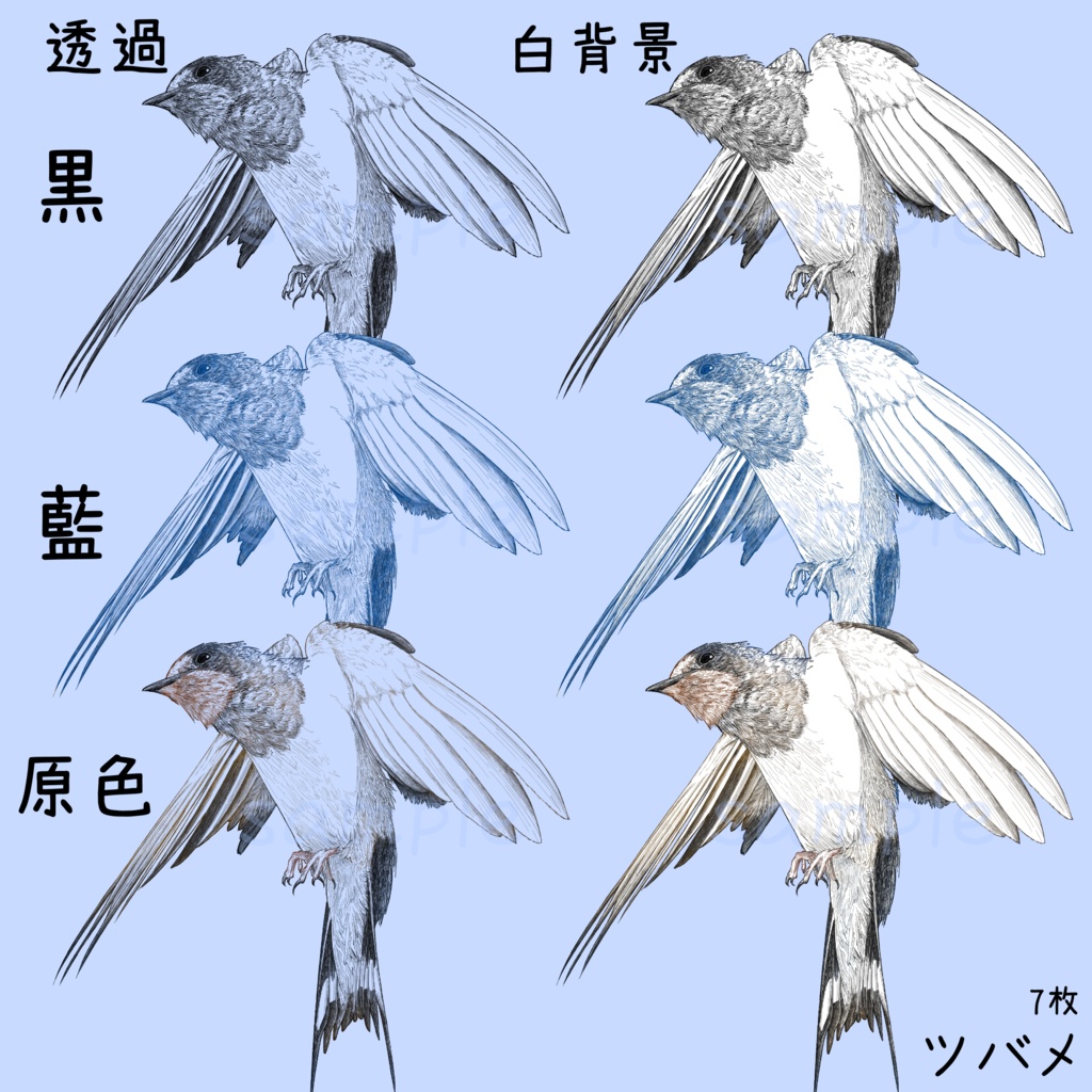 【ペン画 鳥素材】ツバメとカラス