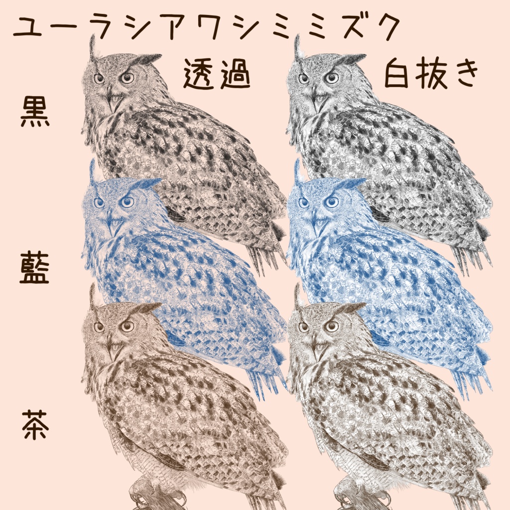 【ペン画 鳥素材】ワシミミズクとアヒル