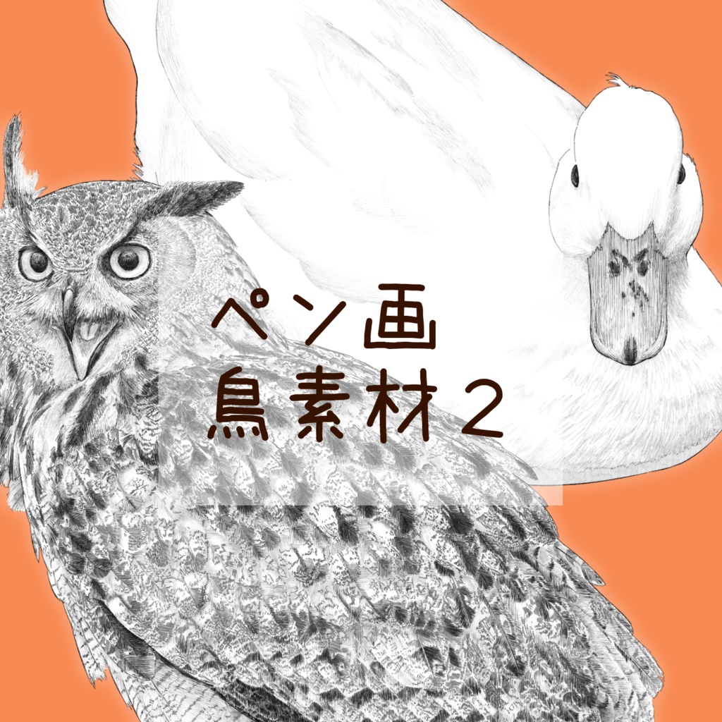 【ペン画 鳥素材】ワシミミズクとアヒル
