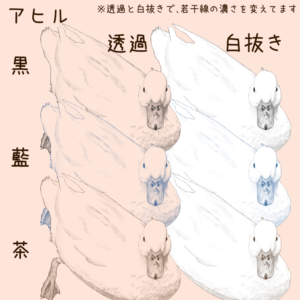 【ペン画 鳥素材】ワシミミズクとアヒル