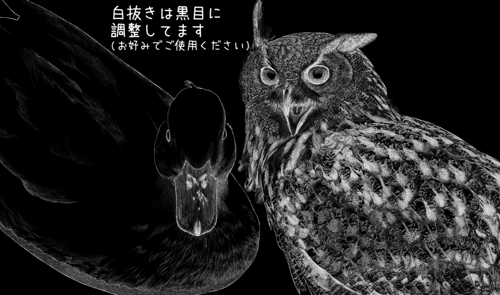 【ペン画 鳥素材】ワシミミズクとアヒル