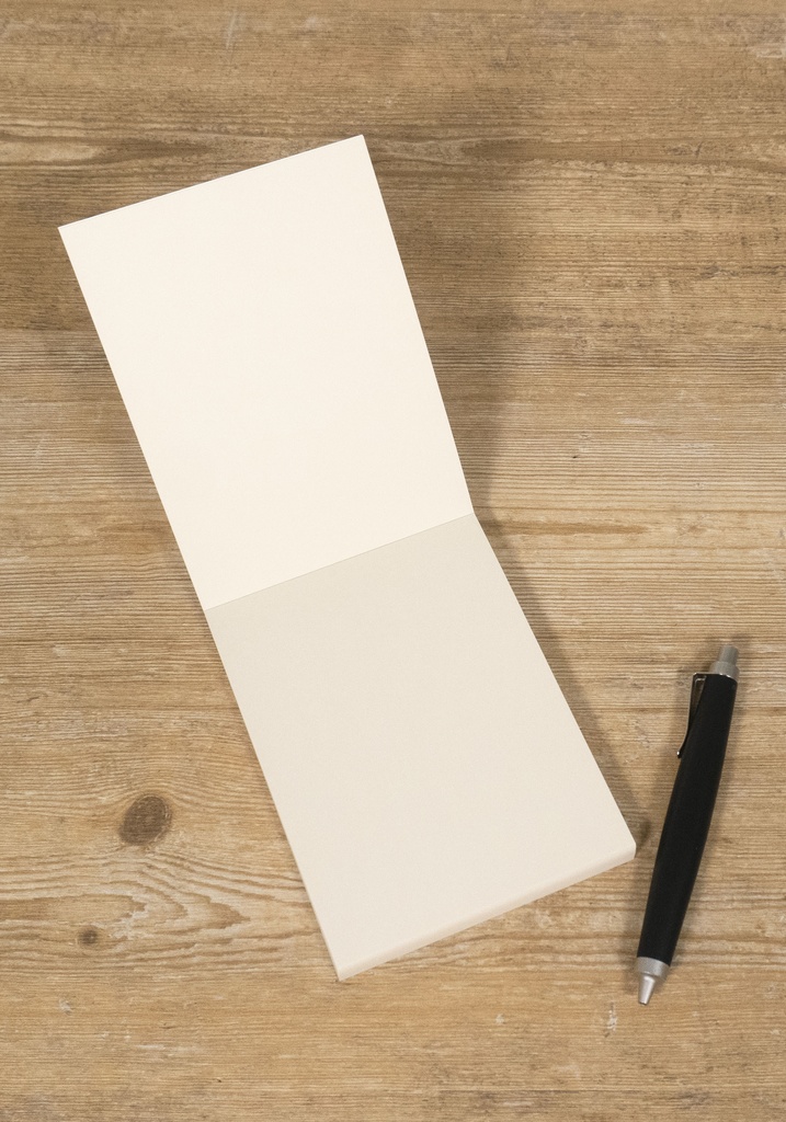 バンクシー【フワラーボンバー】メモ