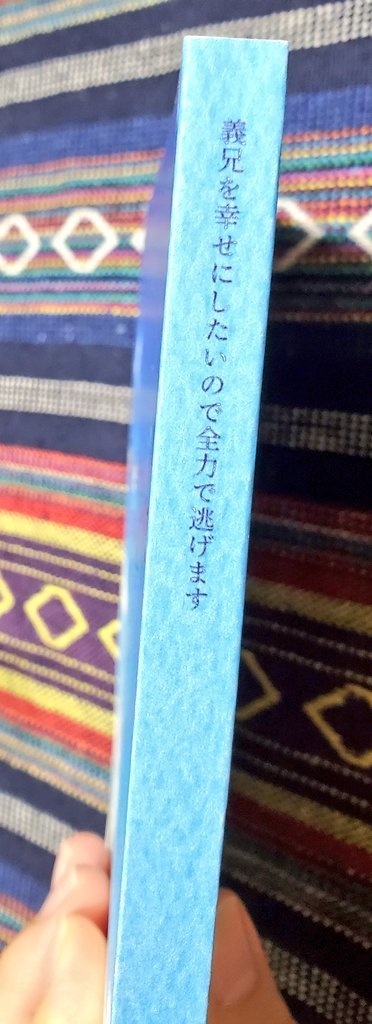 義兄を幸せにしたいので全力で逃げます