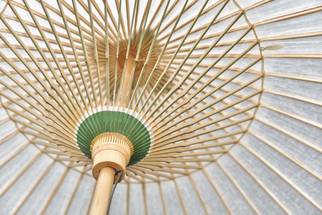 伝統的工芸品 岐阜和傘 番傘 凜