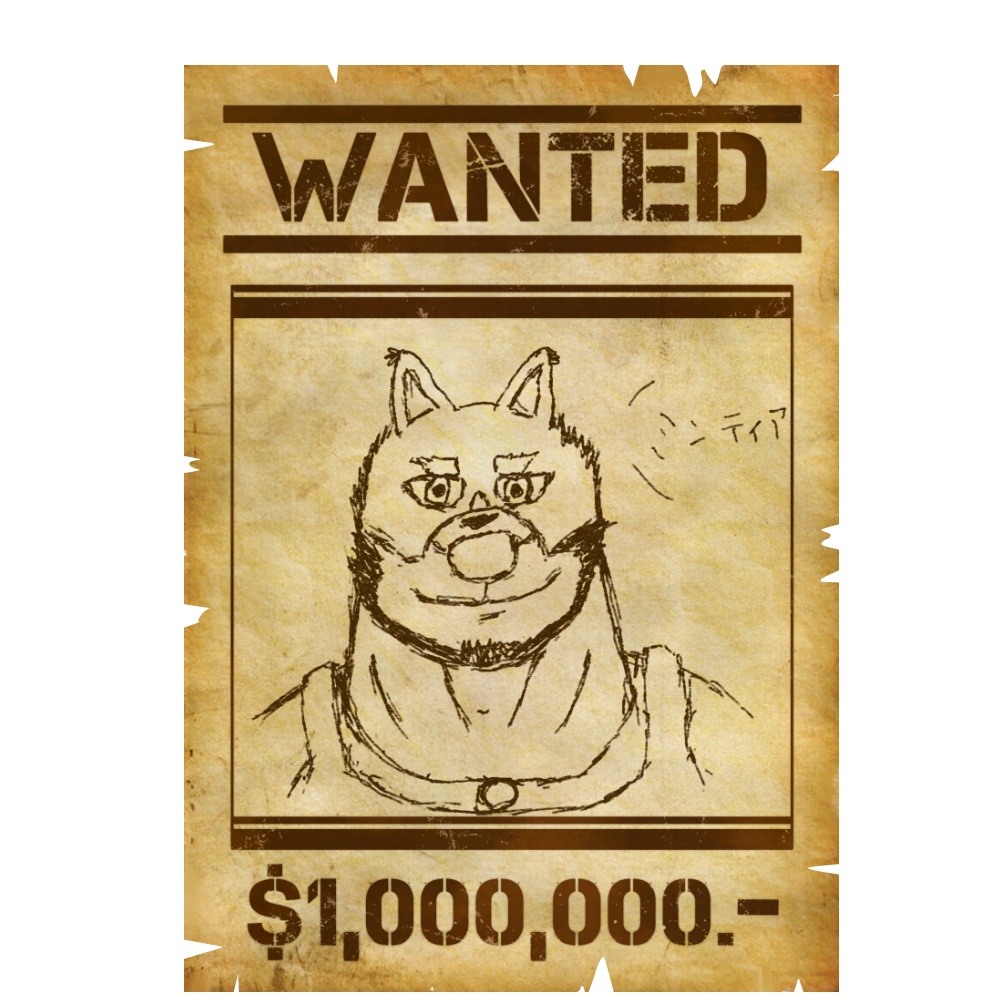 WANTED Tシャツ