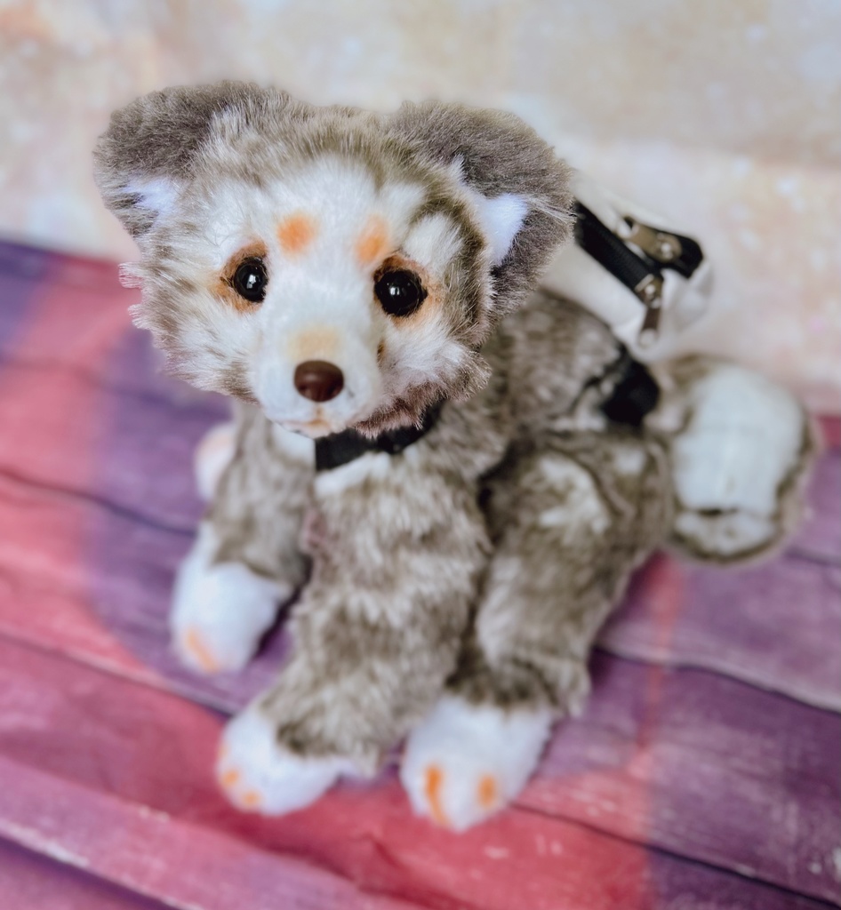 アートドール ぬいぐるみ こいぬ 犬