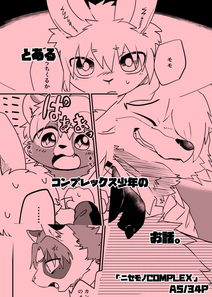 ニセモノCOMPLEX【DL販売】