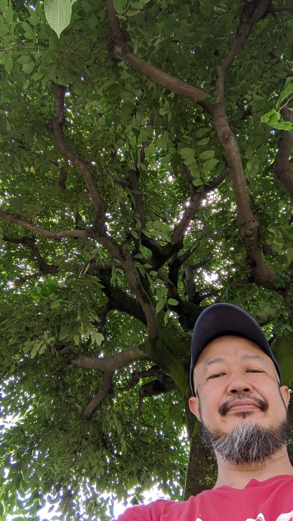 配信投げ銭ライブ　7月3日 (金） EL DOBBY  start 19:00 〜 ♪