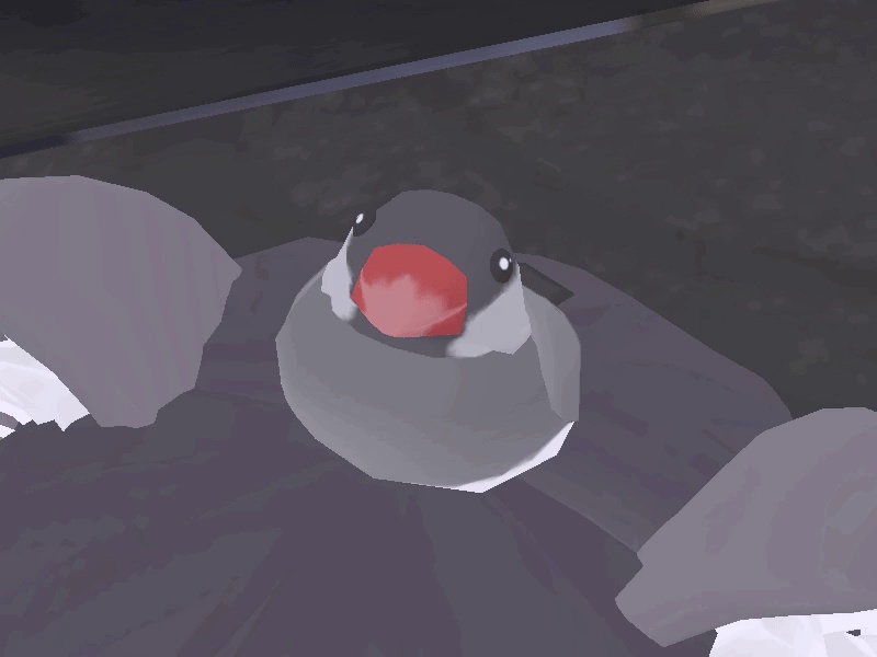 【VRChat想定アクセサリー】動く文鳥