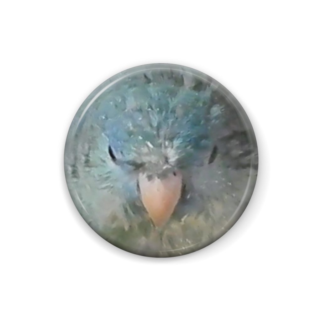 サザナミインコ【鳥の缶バッチ】