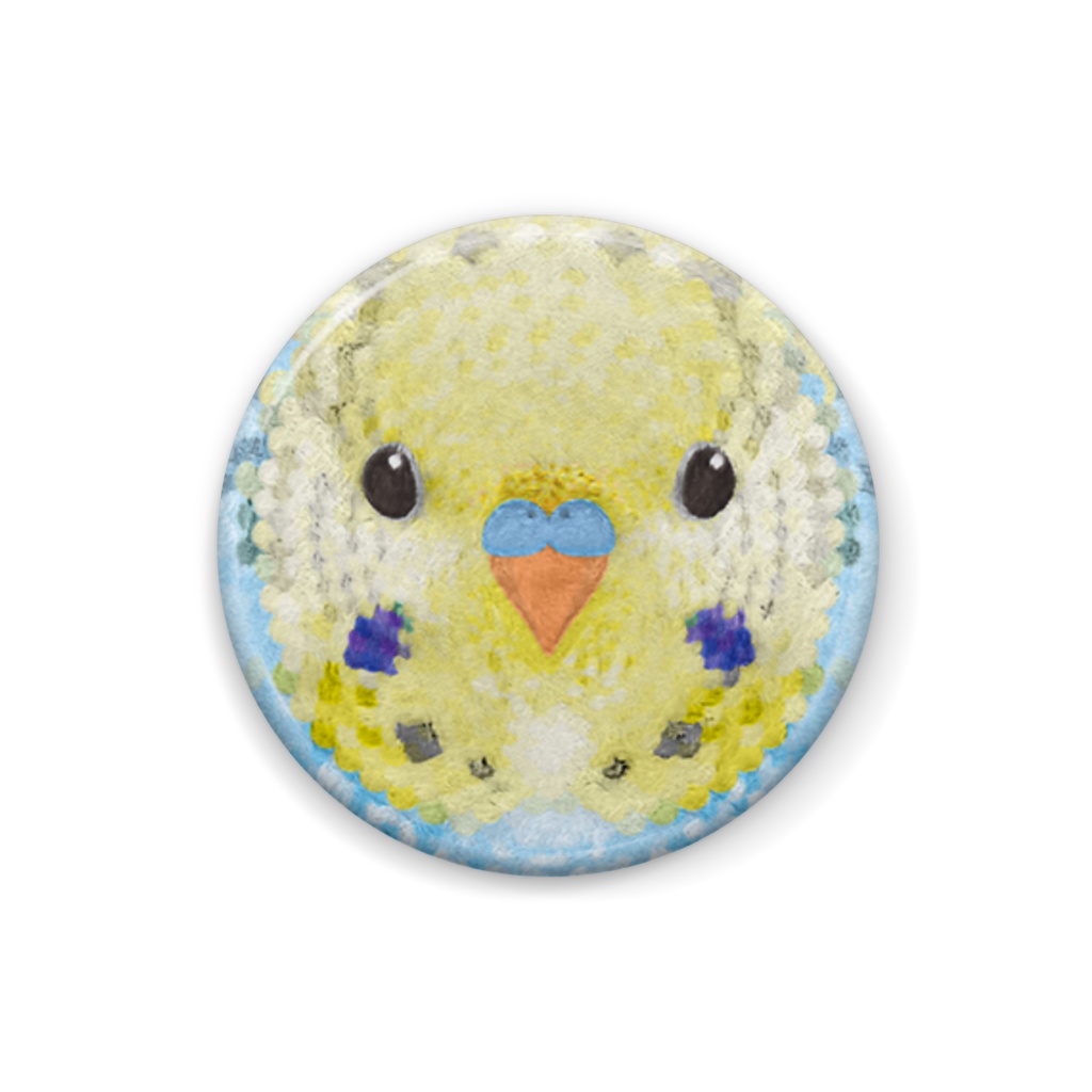 セキセイインコ、パステルレインボー灰レース、オス