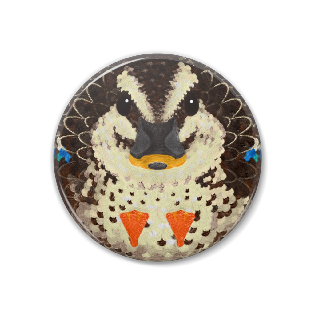 カルガモ、オス【まるい鳥の缶バッチ】