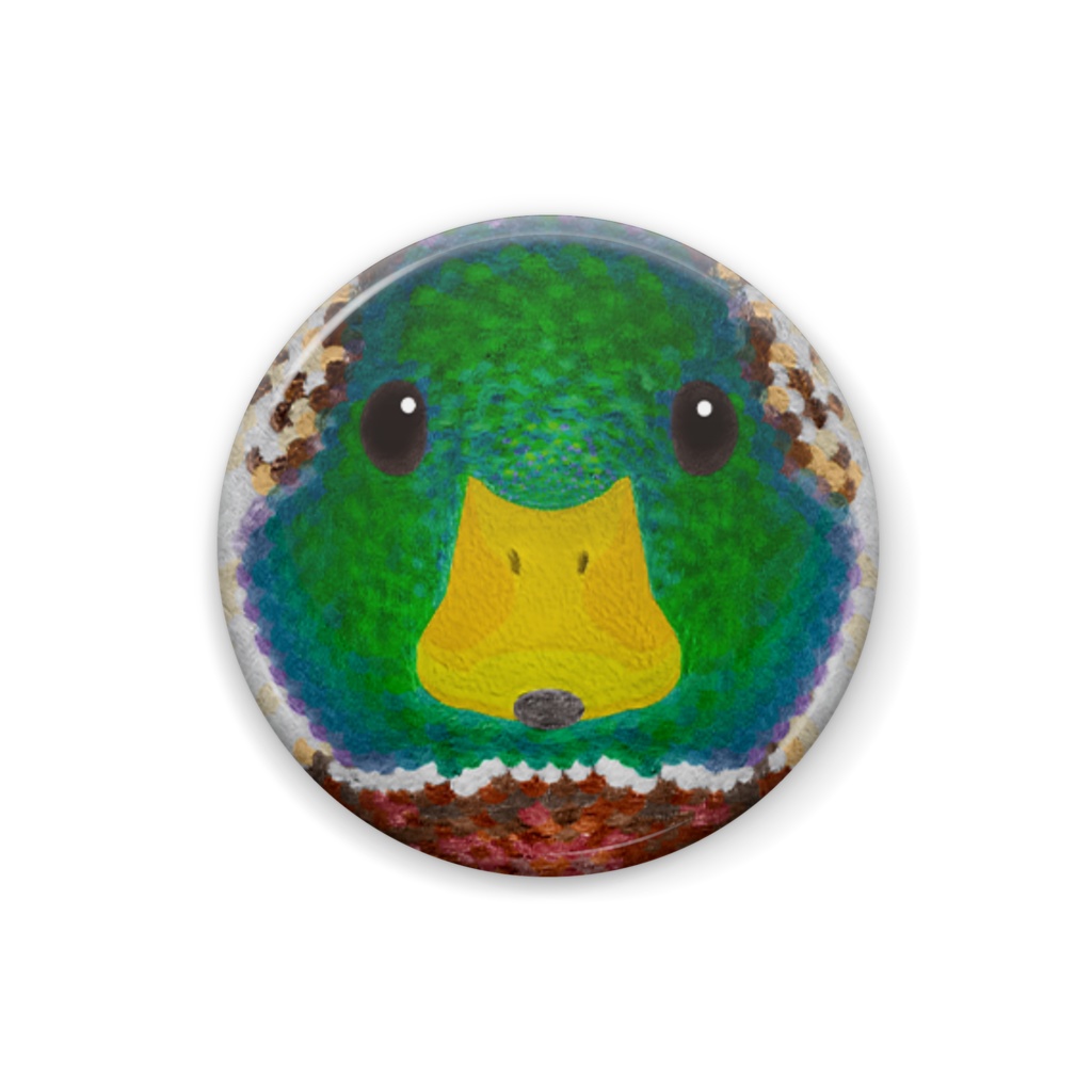 マガモ、オス、繁殖羽【まるい鳥の顔の缶バッチ】