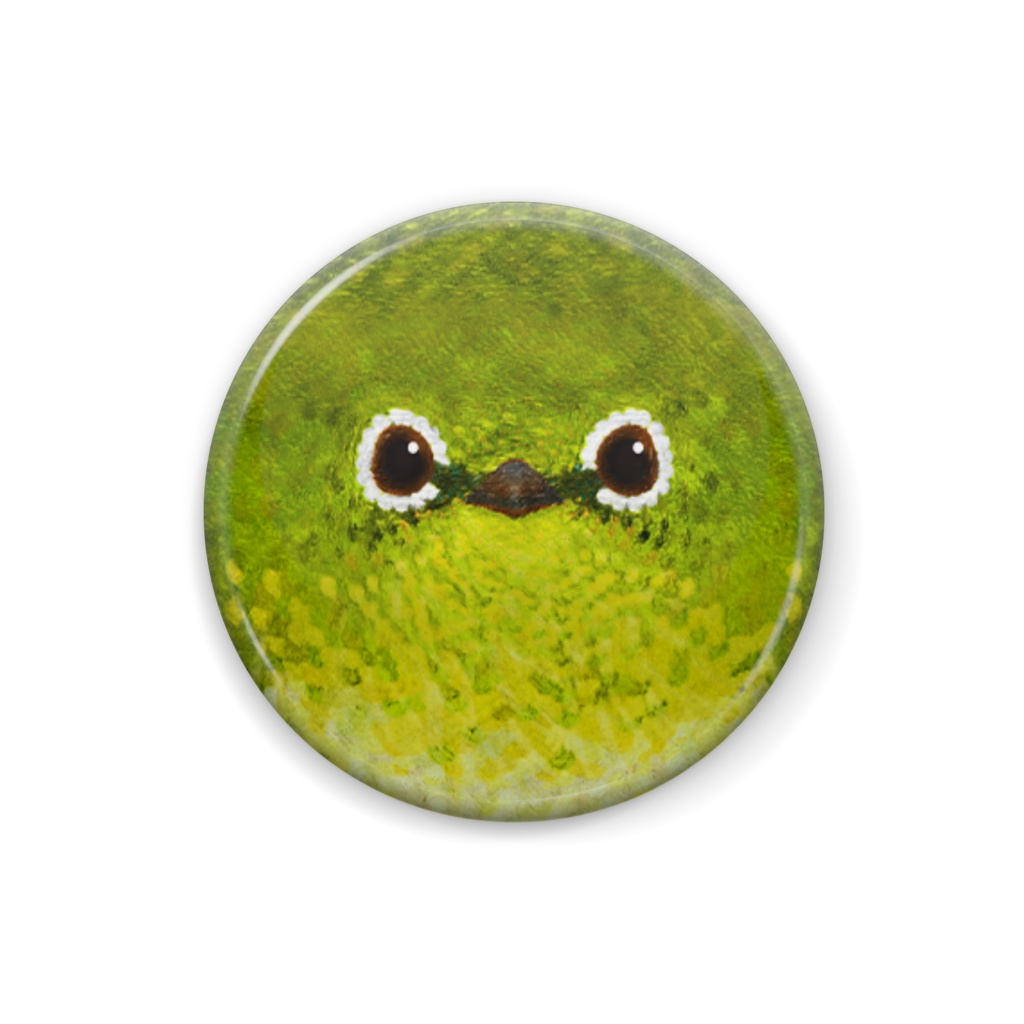 メジロ、メス【野鳥の顔の缶バッチ】