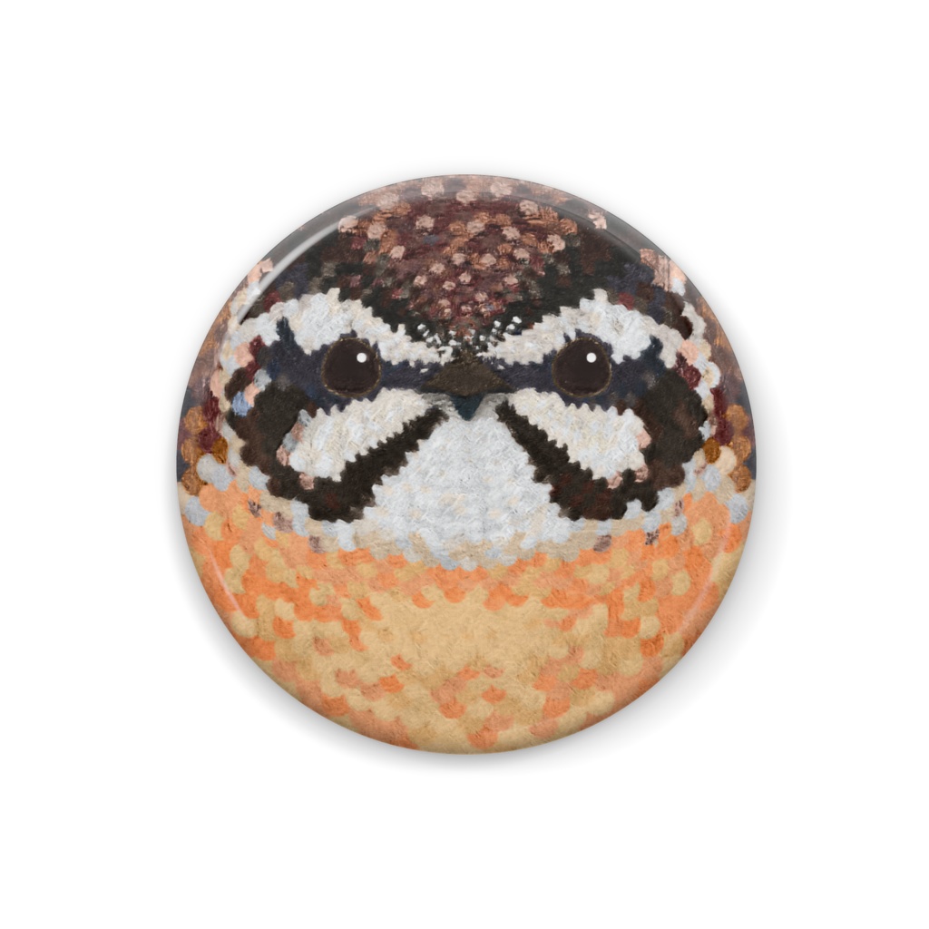 ホオジロ、オス【野鳥の顔の缶バッチ】