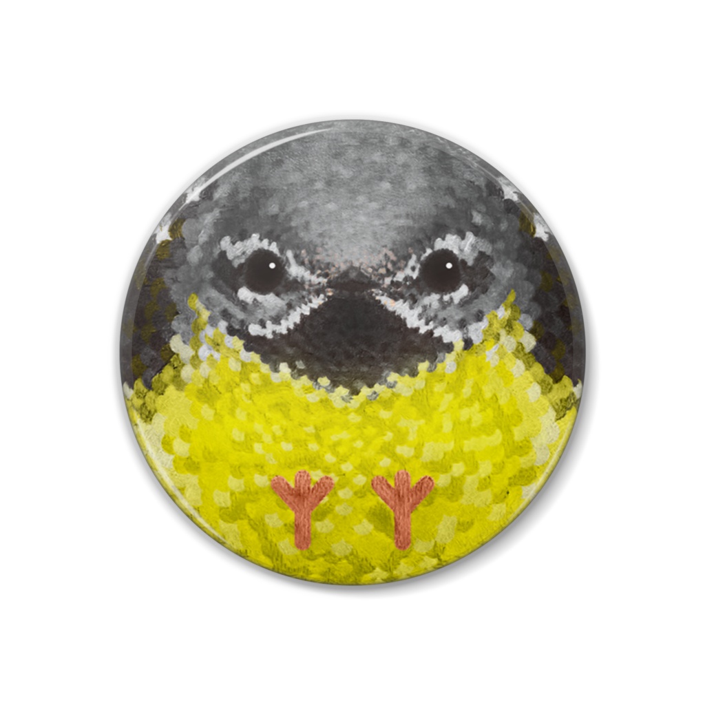 キセキレイ、オス、夏羽【まるい鳥の缶バッチ】