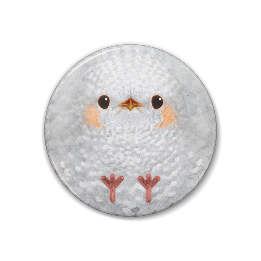 白いヒヨドリ、白変種【まるい鳥の缶バッチ】