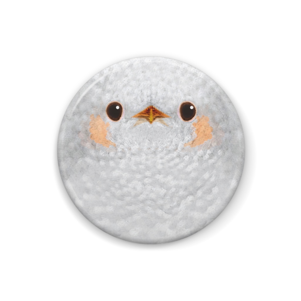 白いヒヨドリ、白変種【まるい鳥の缶バッチ】