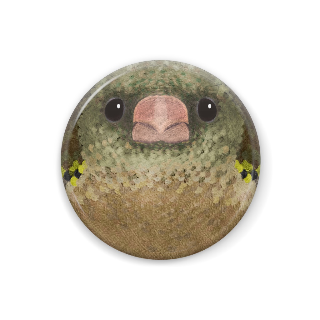 カワラヒワ、メス【野鳥の正面の缶バッチ】