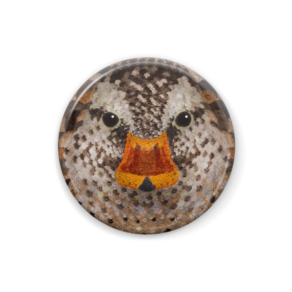 マガモ、メス【カモの顔の缶バッチ】