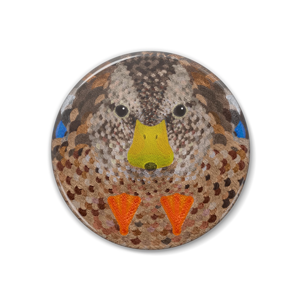 マガモ、エクリプス（非繁殖羽）オス【まるい鳥の缶バッチ】