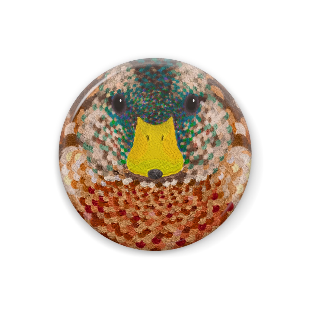 マガモ、エクリプスから繁殖羽に換羽中、オス【野鳥のフェルト風の缶バッチ】