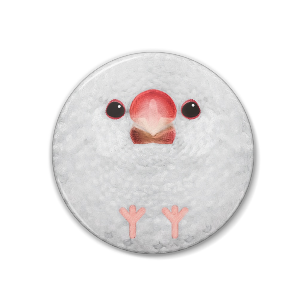 白文鳥、オス【まるい鳥の缶バッチ】