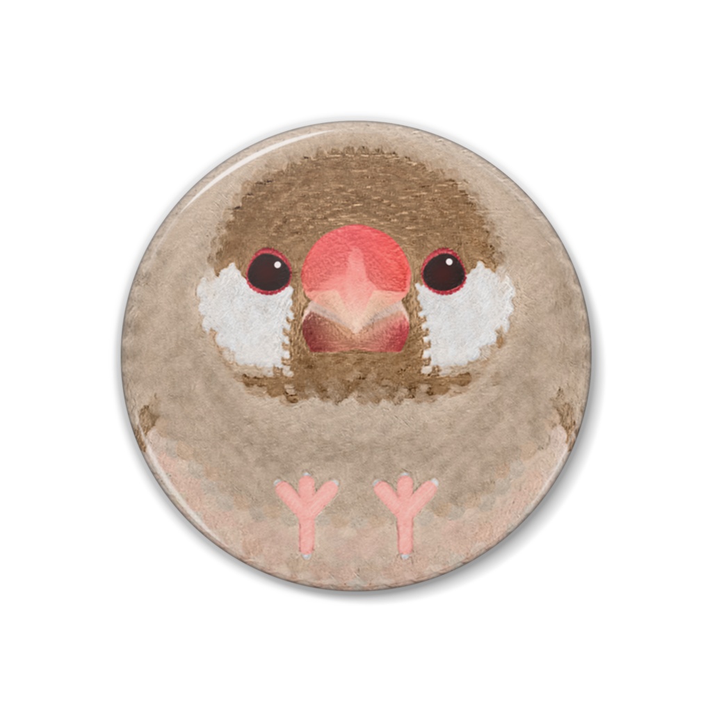 シナモン文鳥、オス【まるい鳥の缶バッチ】