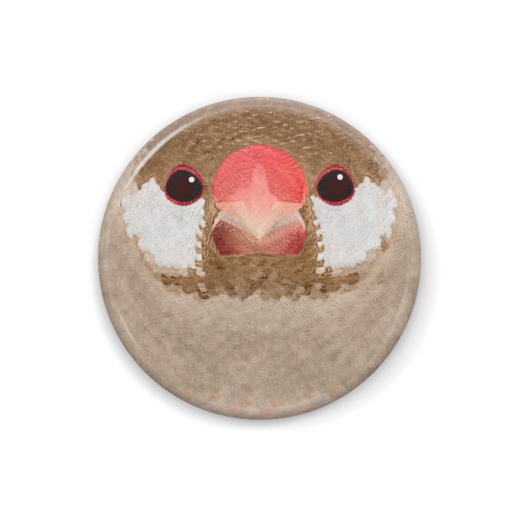 シナモン文鳥、オス【まるい鳥の缶バッチ】