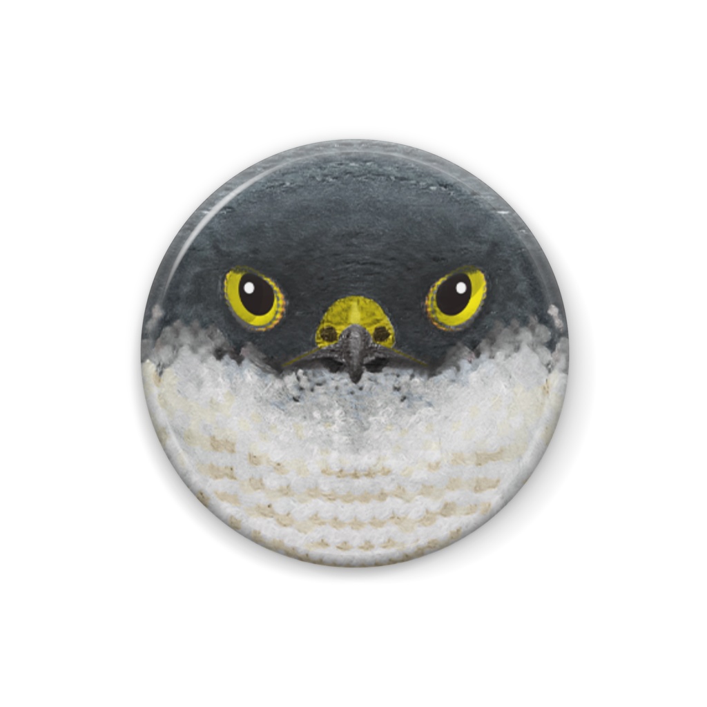 ツミ、メス【まるい鳥の缶バッチ】猛禽類タカ目タカ科