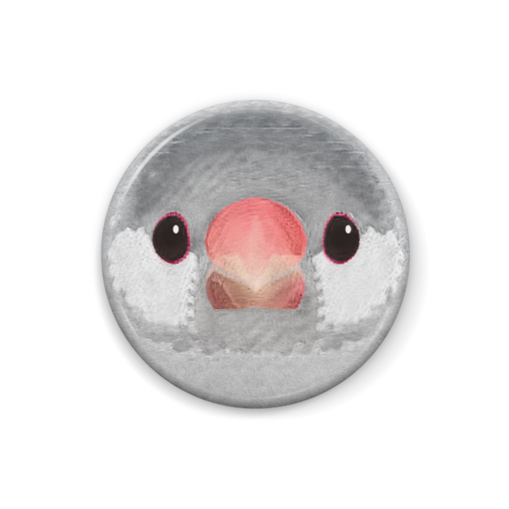 シルバー文鳥、メス【まるい鳥の缶バッチ】