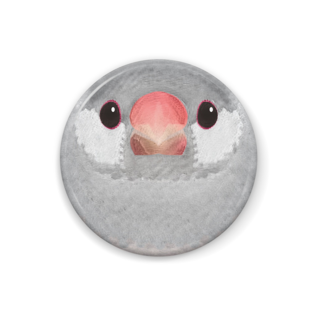 シルバー文鳥、メス【まるい鳥の缶バッチ】